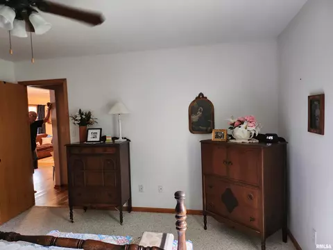 15531 E Geronimo Dr, Cuba, IL 61427 photo 46