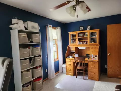15531 E Geronimo Dr, Cuba, IL 61427 photo 43
