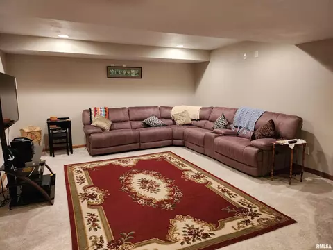 15531 E Geronimo Dr, Cuba, IL 61427 photo 54