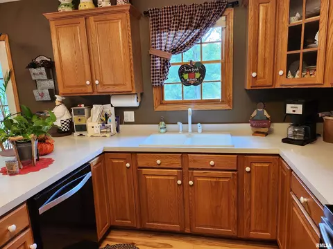15531 E Geronimo Dr, Cuba, IL 61427 photo 22