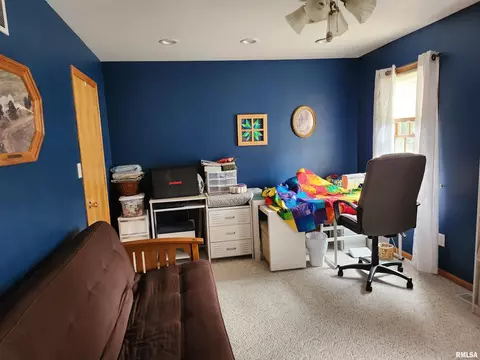 15531 E Geronimo Dr, Cuba, IL 61427 photo 42