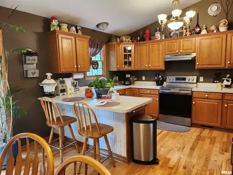 15531 E Geronimo Dr, Cuba, IL 61427 photo 19