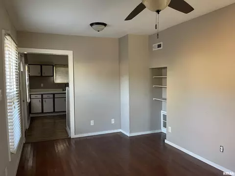 144 E Myrtle St, Canton, IL 61520 photo 5