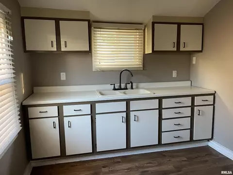 144 E Myrtle St, Canton, IL 61520 photo 8
