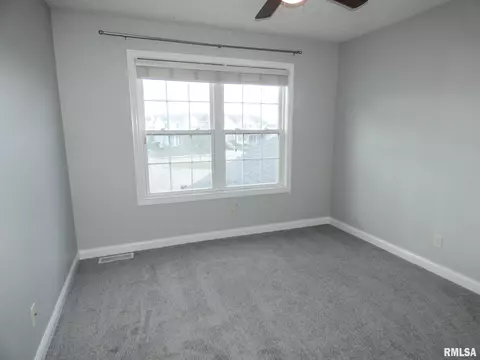 11118 N Crestpointe Ln, Dunlap, IL 61525 photo 19