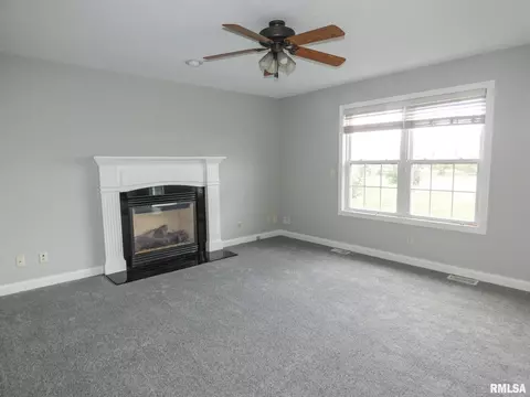 11118 N Crestpointe Ln, Dunlap, IL 61525 photo 11