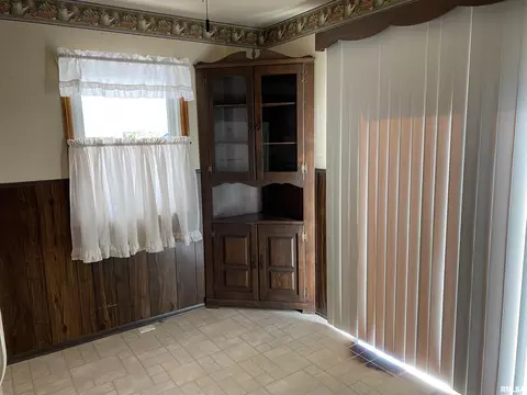 1176 Sunview Ter, Canton, IL 61520 photo 6