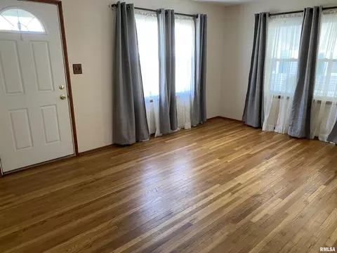 1176 Sunview Ter, Canton, IL 61520 photo 4