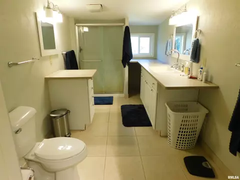 206 W Ash St, Dunlap, IL 61525 photo 19