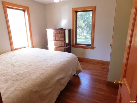 206 W Ash St, Dunlap, IL 61525 photo 21