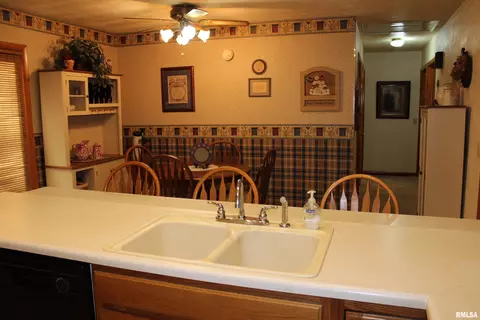 505 Circle Ln, Cuba, IL 61427 photo 12
