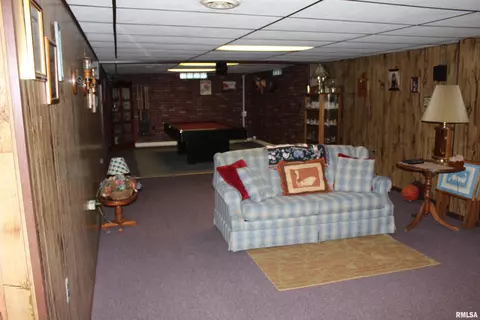 505 Circle Ln, Cuba, IL 61427 photo 25