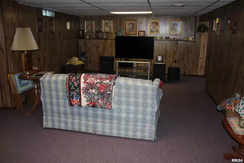 505 Circle Ln, Cuba, IL 61427 photo 26