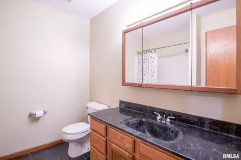 4015 S Wheatfield Rd, Mapleton, IL 61547 photo 41