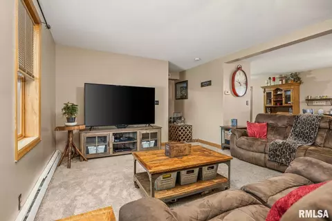 209 W Tower St, Eureka, IL 61530 photo 10
