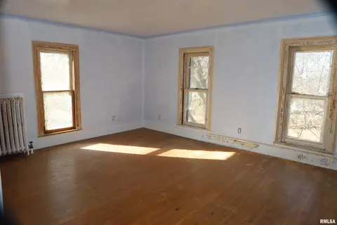 312 W 3rd St, Delavan, IL 61734 photo 22