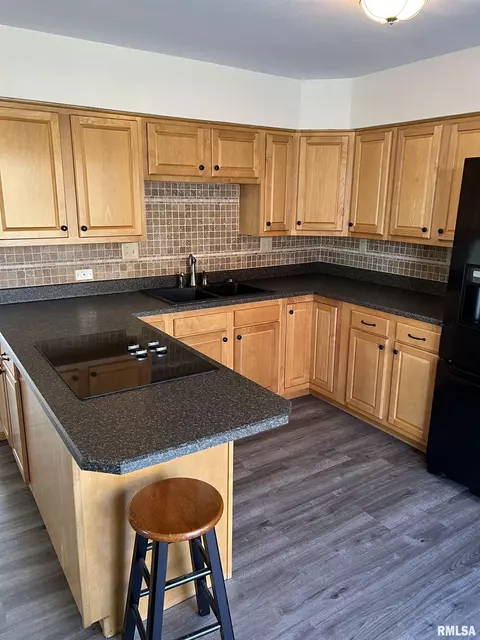 60 E Broadway St, Ipava, IL 61441 photo 15