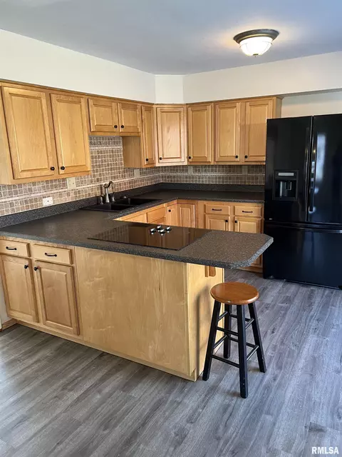 60 E Broadway St, Ipava, IL 61441 photo 13