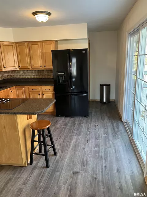 60 E Broadway St, Ipava, IL 61441 photo 14