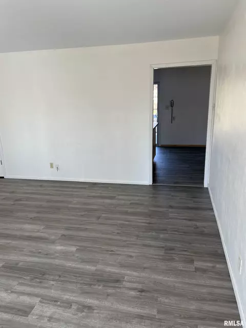 60 E Broadway St, Ipava, IL 61441 photo 20