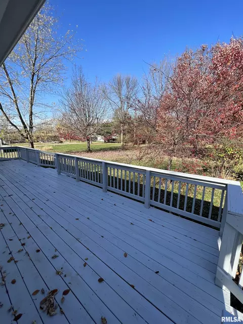 60 E Broadway St, Ipava, IL 61441 photo 50