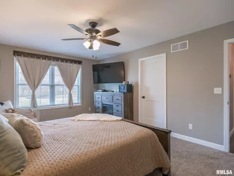 180 E Miller Rd, Edelstein, IL 61526 photo 31