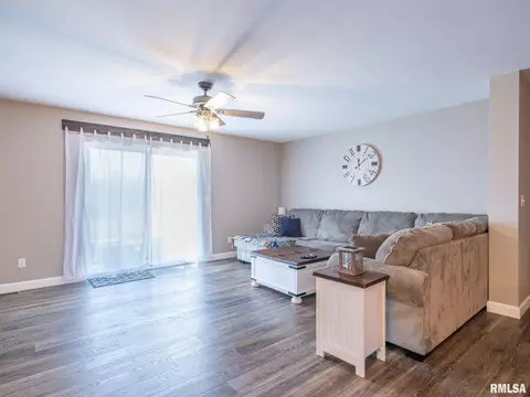 180 E Miller Rd, Edelstein, IL 61526 photo 4