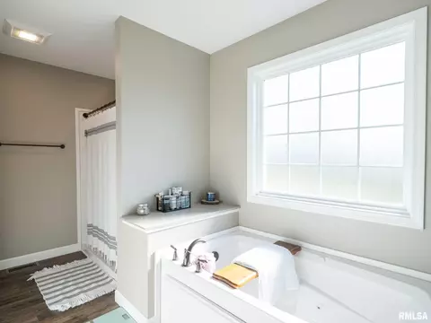 180 E Miller Rd, Edelstein, IL 61526 photo 36
