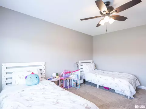 180 E Miller Rd, Edelstein, IL 61526 photo 29