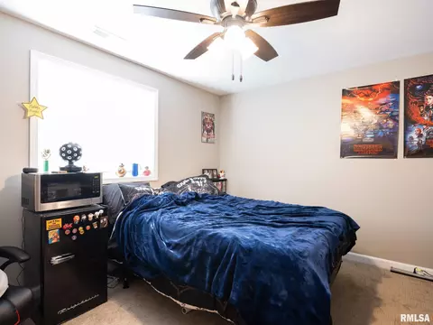 180 E Miller Rd, Edelstein, IL 61526 photo 42