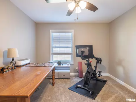 180 E Miller Rd, Edelstein, IL 61526 photo 26