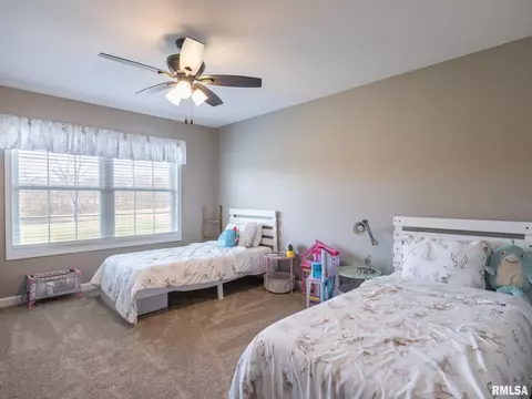 180 E Miller Rd, Edelstein, IL 61526 photo 27
