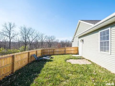 180 E Miller Rd, Edelstein, IL 61526 photo 47
