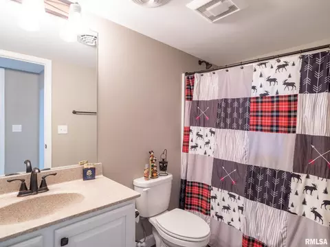 180 E Miller Rd, Edelstein, IL 61526 photo 41