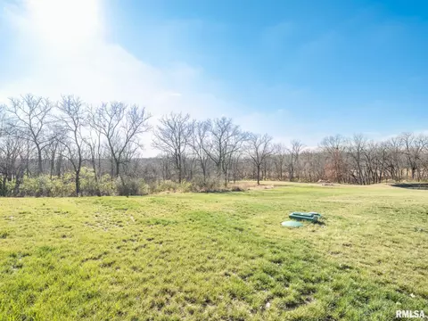 180 E Miller Rd, Edelstein, IL 61526 photo 50