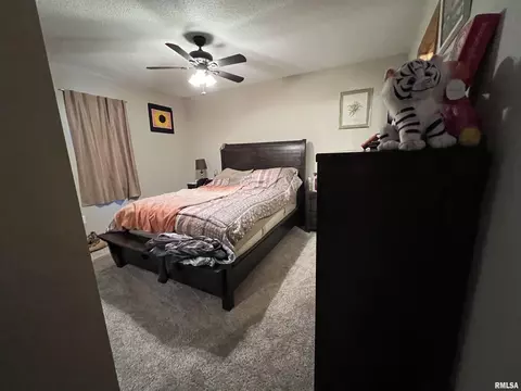1104 E Wheeler St, Macomb, IL 61455 photo 5