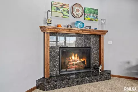 104 Pinehurst Ln, Washington, IL 61571 photo 11