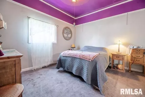 211 W 5th St, Delavan, IL 61734 photo 22