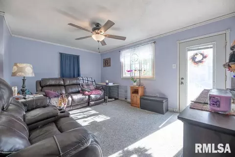 211 W 5th St, Delavan, IL 61734 photo 14