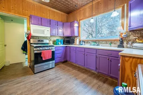 211 W 5th St, Delavan, IL 61734 photo 20