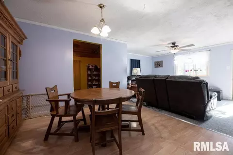 211 W 5th St, Delavan, IL 61734 photo 16