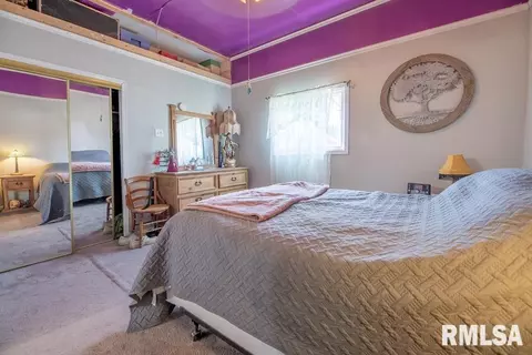 211 W 5th St, Delavan, IL 61734 photo 23