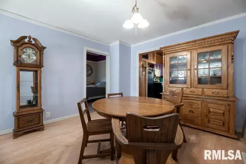 211 W 5th St, Delavan, IL 61734 photo 17