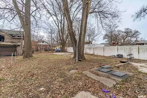 120 E Arcadia Ave, Peoria, IL 61603 photo 20