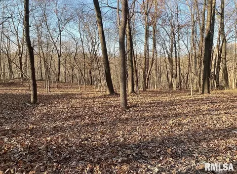 370 E Ten Mile Creek Rd, Germantown Hills, IL 61548