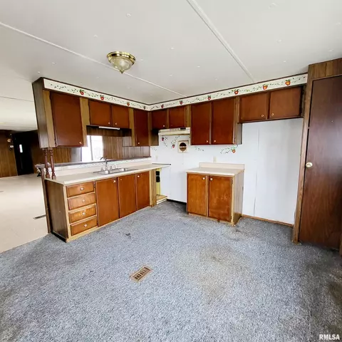 1015 E Birch St, Canton, IL 61520 photo 23