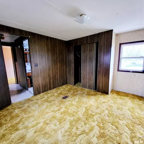 1015 E Birch St, Canton, IL 61520 photo 10