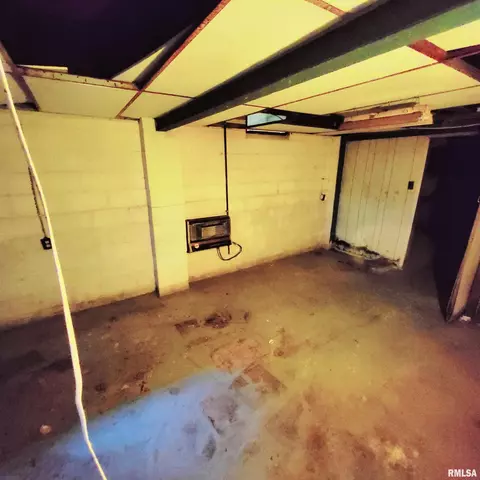 1015 E Birch St, Canton, IL 61520 photo 38