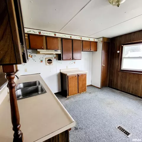 1015 E Birch St, Canton, IL 61520 photo 24