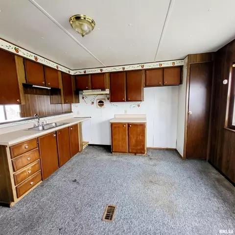 1015 E Birch St, Canton, IL 61520 photo 21